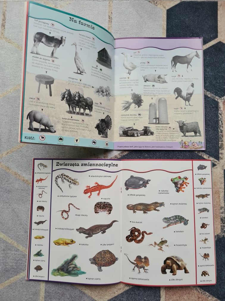 Na farmie, Gady i płazy Nauka i zabawa