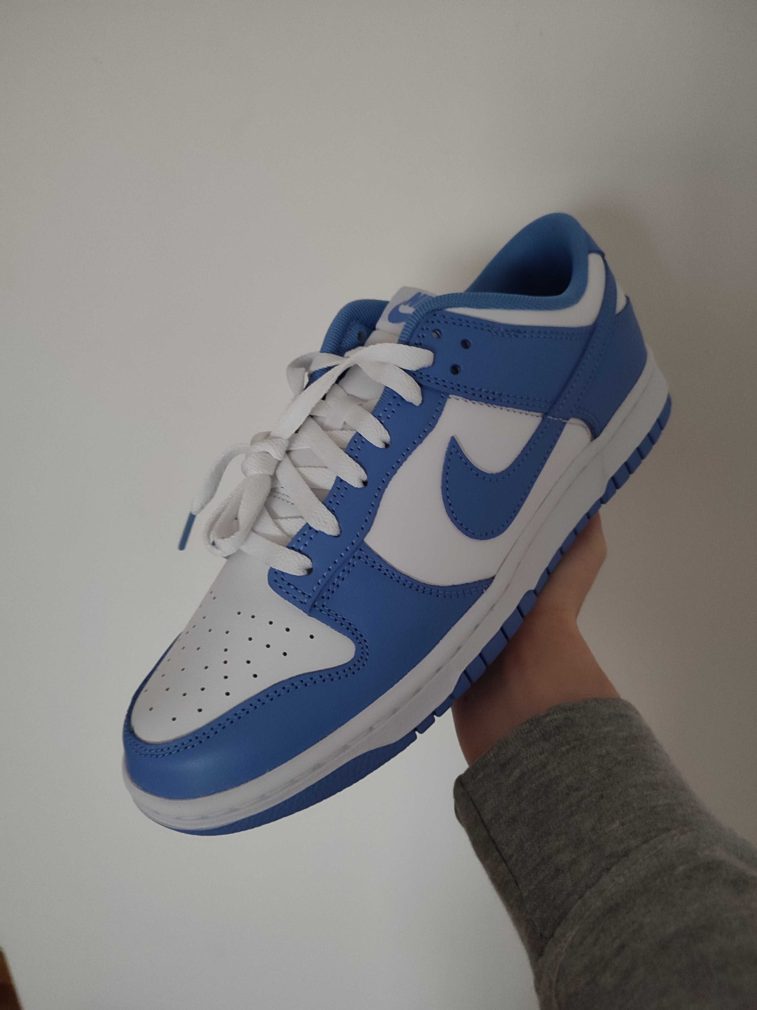 Nike Dunk Polar Blue 42.5