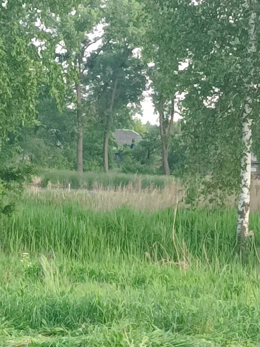 Продається будинок в селі Злобичі Коростенського району