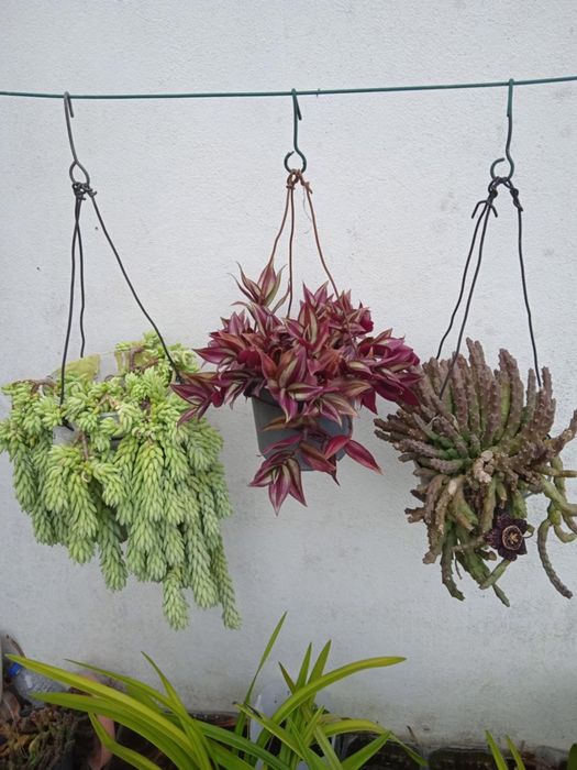 Vendo vasos bonitos para decoração da sua casa, exterior e interior.