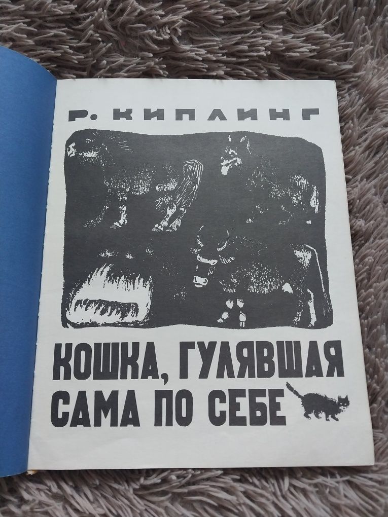 Книга с иллюстрациями Пахомова