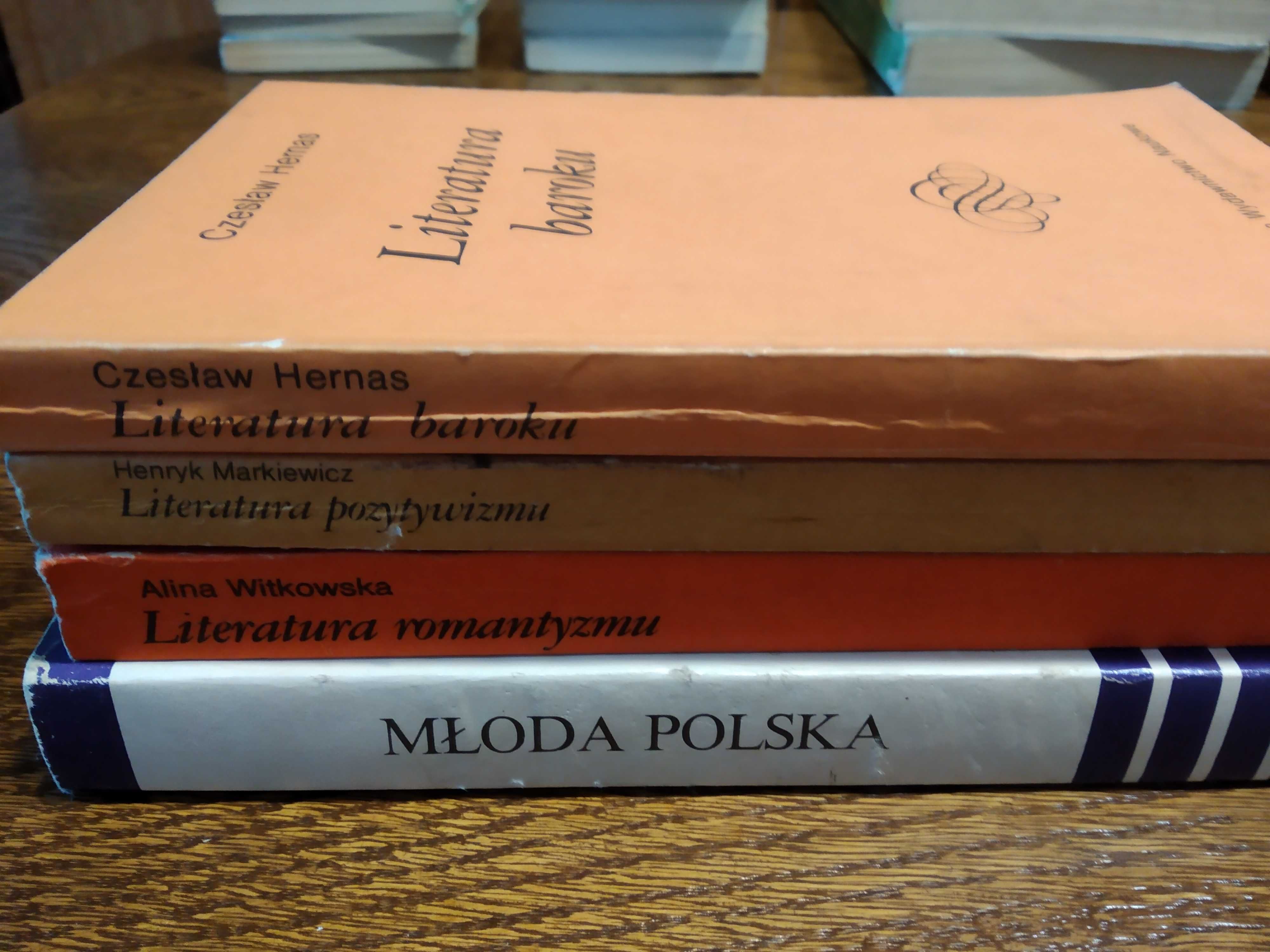 Literatura baroku, romantyzmu, pozytywizmu i modernizmu