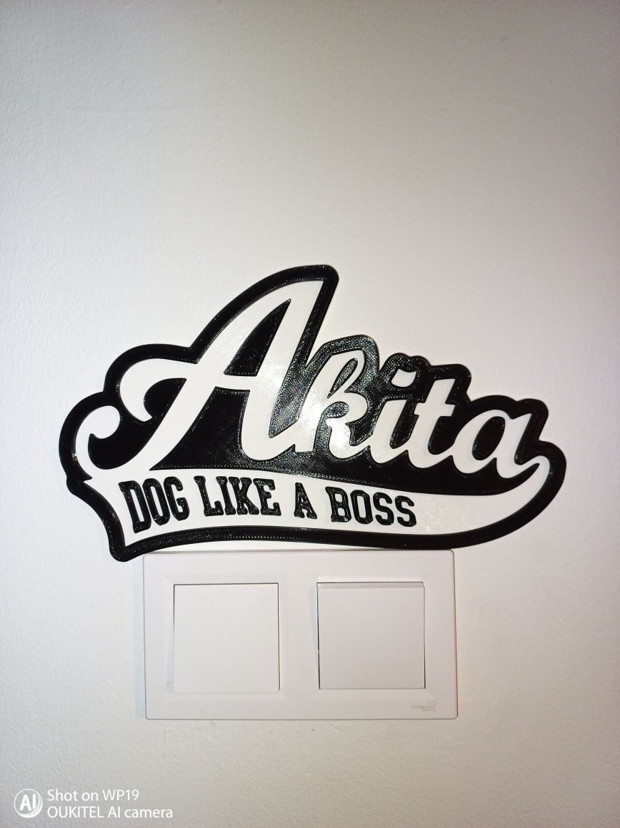 Akita dog like a boss obraz 3d na ścianę