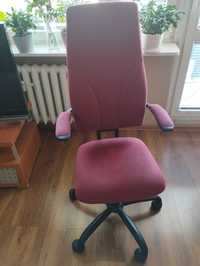 Krzesło Spinalis Navigator zdrowotne na kręgosłup