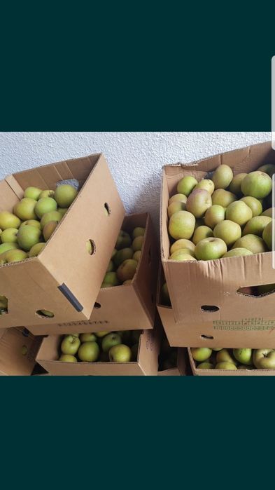 detalicznie hurt Szara reneta, jabłko jabłka cukiernictwo