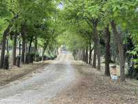 Quinta T10 para venda
