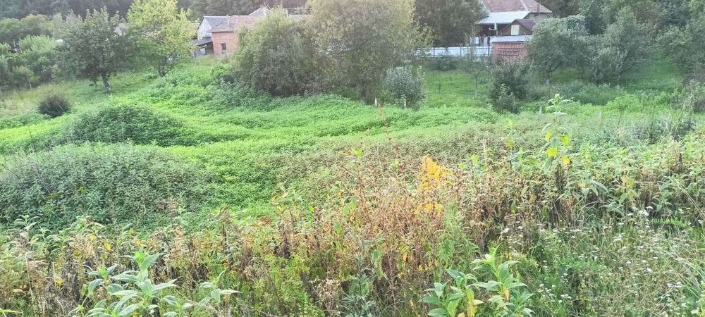 В Продажу ЗЕМЕЛЬНА ділянка ГАРНЕ село