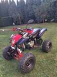 Quad Bashan 200/250 ZAREJESTROWANY!!