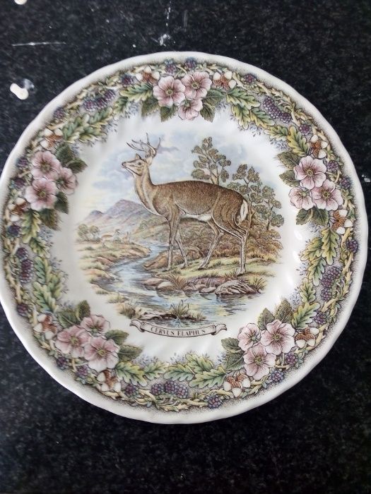 Pratos em porcelana de colecção