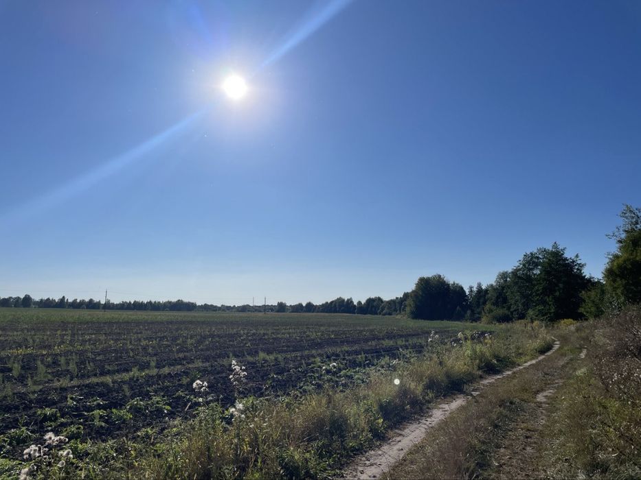 Продам масив землі 26 Га. С. Фасова. Без комісіі для Покупця