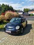 New beetle cabrio ZAMIAN