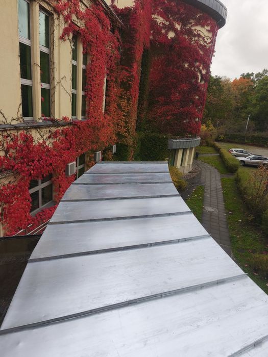 Naprawa , renowacja , dachy, kominy, podbitka,rynny