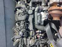 Двигун G8DD Ford Fokus C-Max I 1.6 tdci 109 кс 2003-2010 р