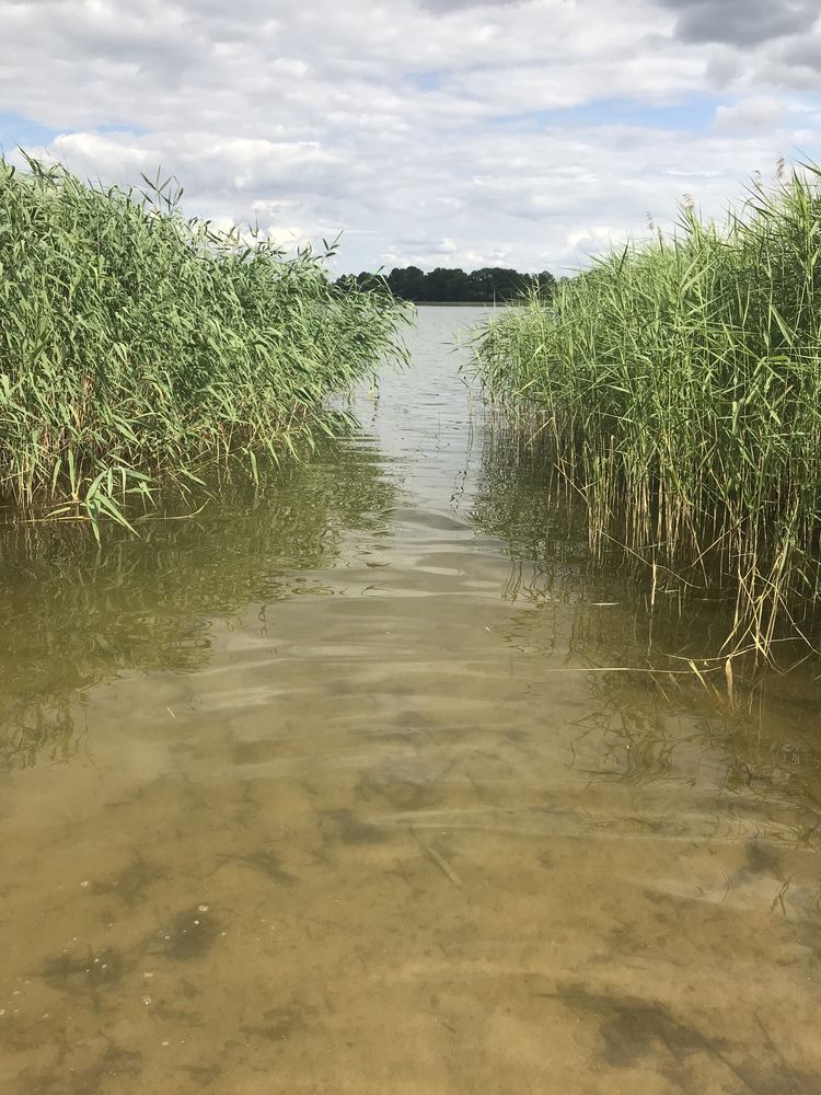 KaliNówka, z widokiem na jezioro Tajty- od 1 lipca