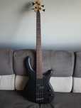 Gitara basowa Cort Action