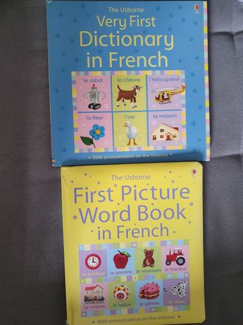 The Usborne Cery First Dictionary in French
