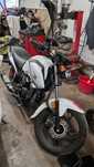 Części Honda CBF125 lampy lagi silnik bak owiewki koła  i wiele innych