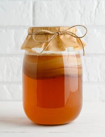 Kombucha kambucza - grzybek herbaciany + napój + przepis + słoik