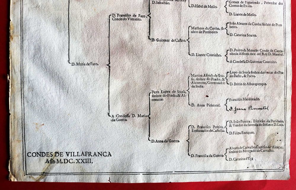 Camaras, Condes de Vila Franca (Ribeira Grande) árvore costados 1623
