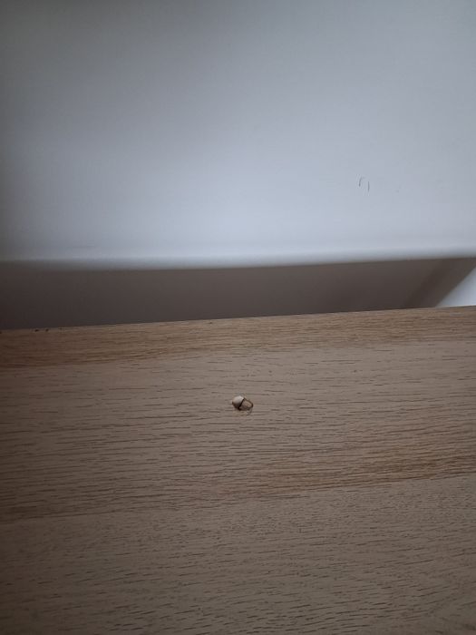 Sprzedam stolik dąb sonoma