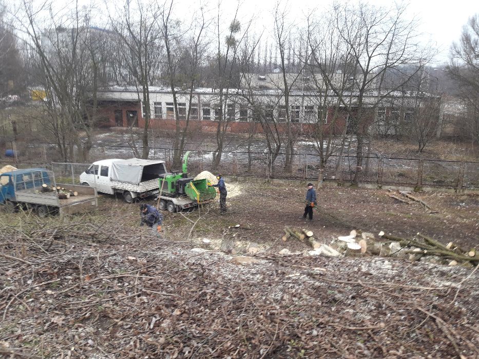 Wycinka drzew, zrębkowanie gałęzi, Profesjonalnie Legionowo, Nieporęt