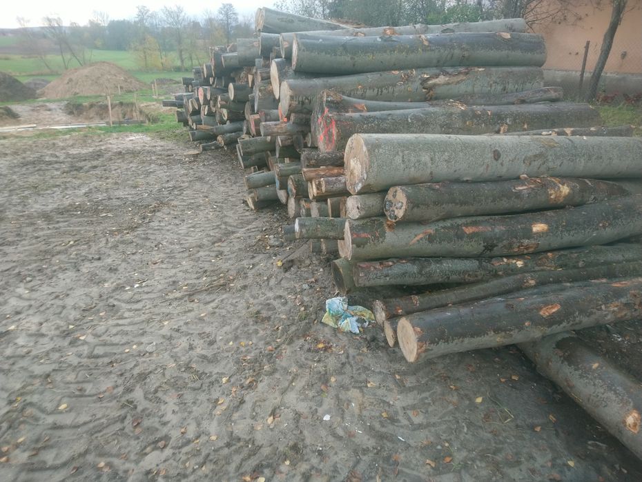 Drewno kominkowe - SOSNA, OSIKA, brzoza, dąb, drzewo opalowe, - m3