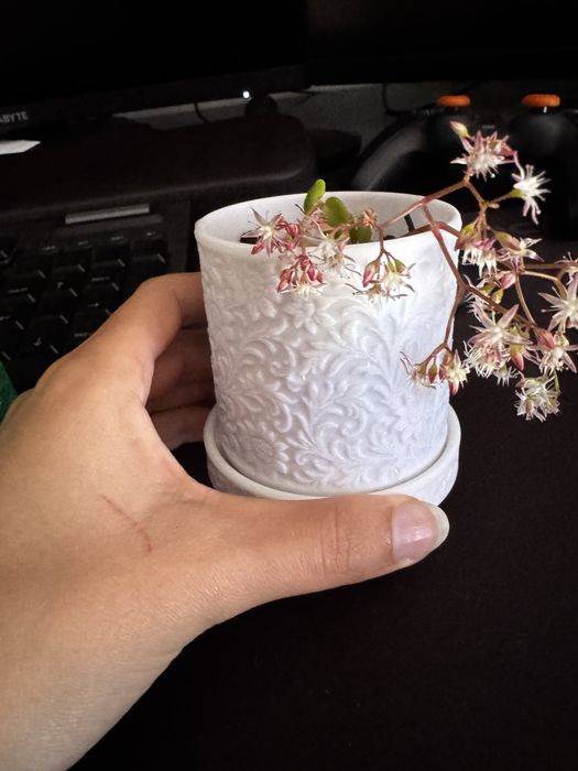 Vaso de planta Minimalista
