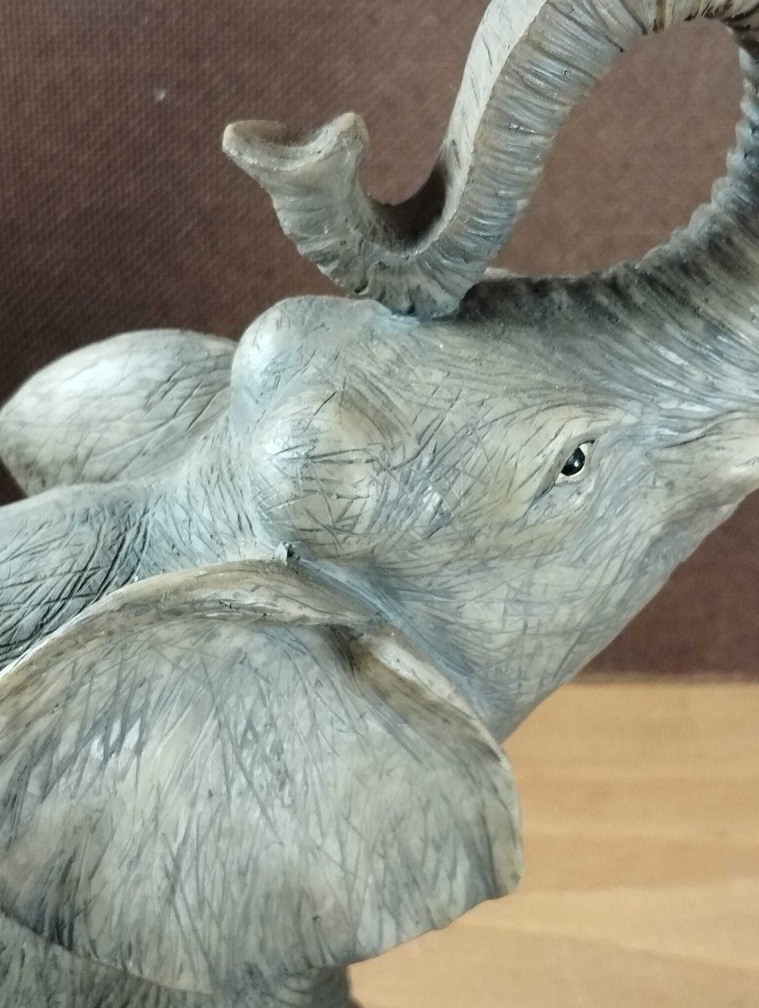 Elefante com Grande Detalhe