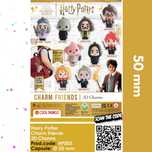 Zasyp do automatu sprzedającego kulki 50mm- Harry Potter Charm Friends