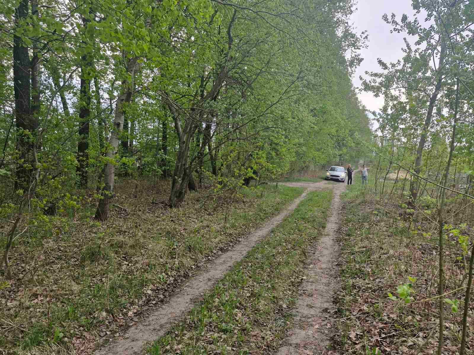 Ділянка 8сот Хінчанка/Параджанова (26133956)