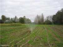 Terreno  para venda