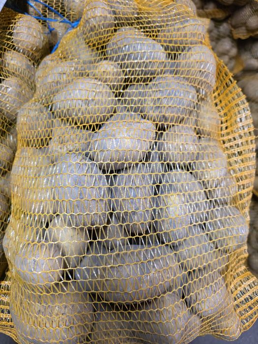 Ziemniaki jadalne odmiany Soraya