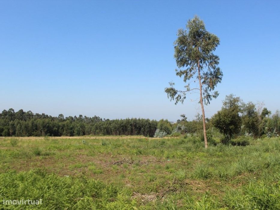 Terreno urbano com 2593 m2 em Rio Meão , Santa Maria da Feira
