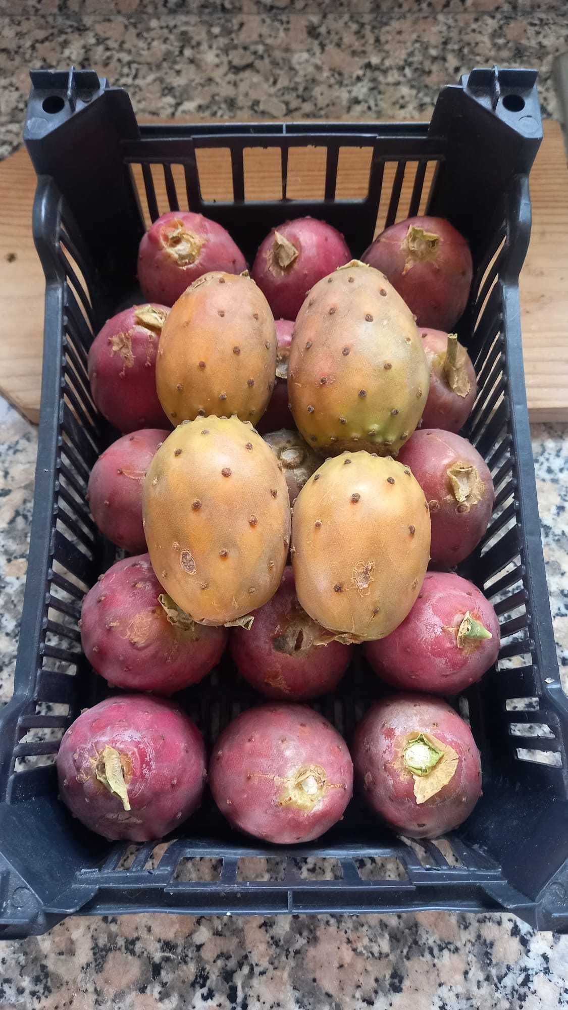 Figos da Índia polpa vermelha e laranja