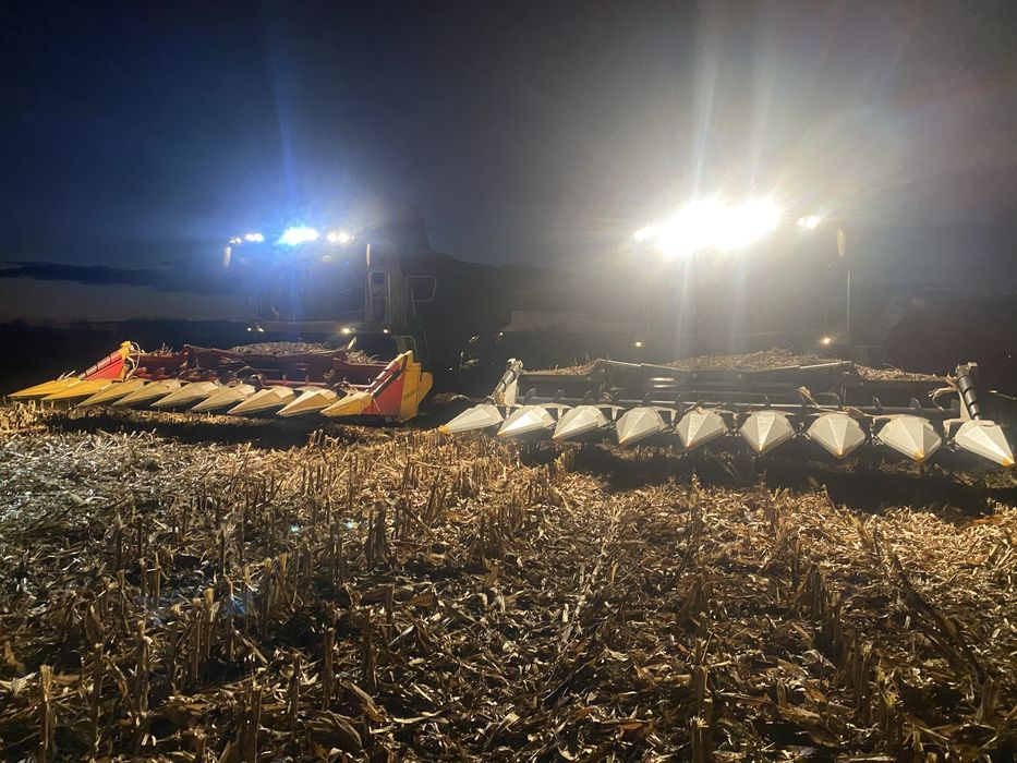 Koszenie kukurydzy claas lexion 750 4x4, lexion 770Tt