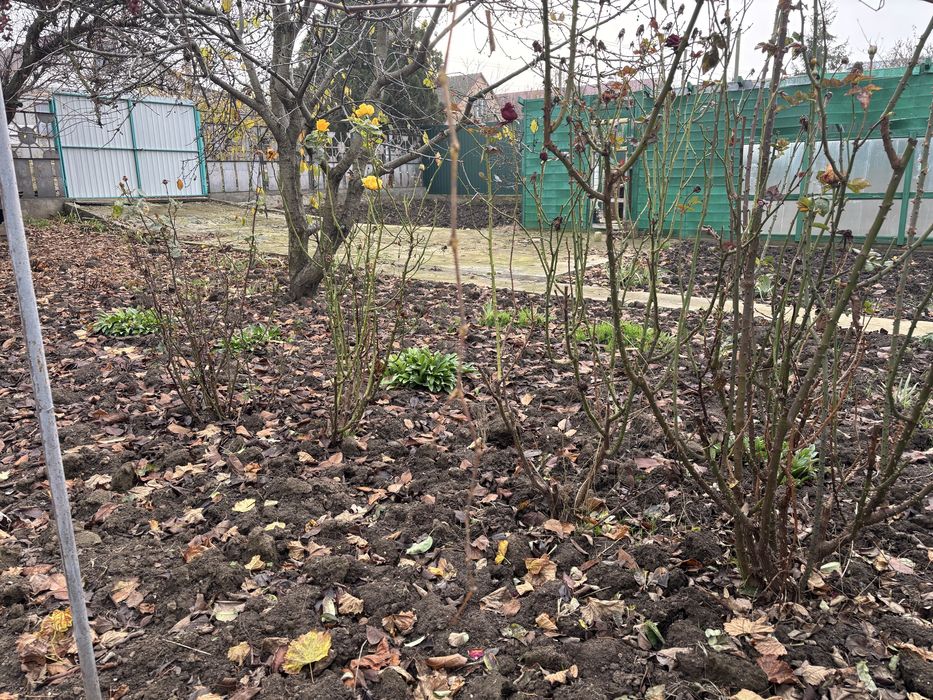 Продам участок в Сычавке