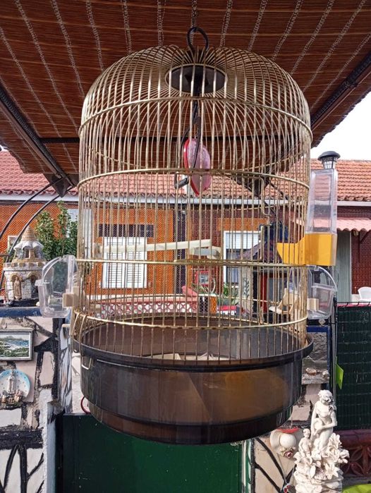 Gaiola Redonda (Aves_Passaros)