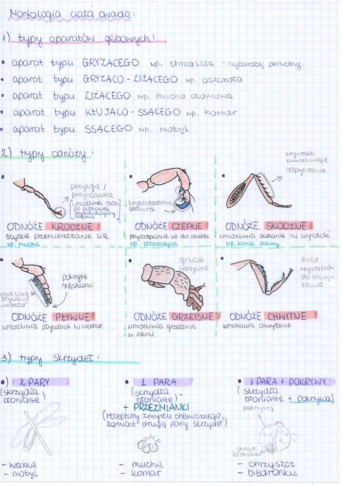 Notatki biologia matura