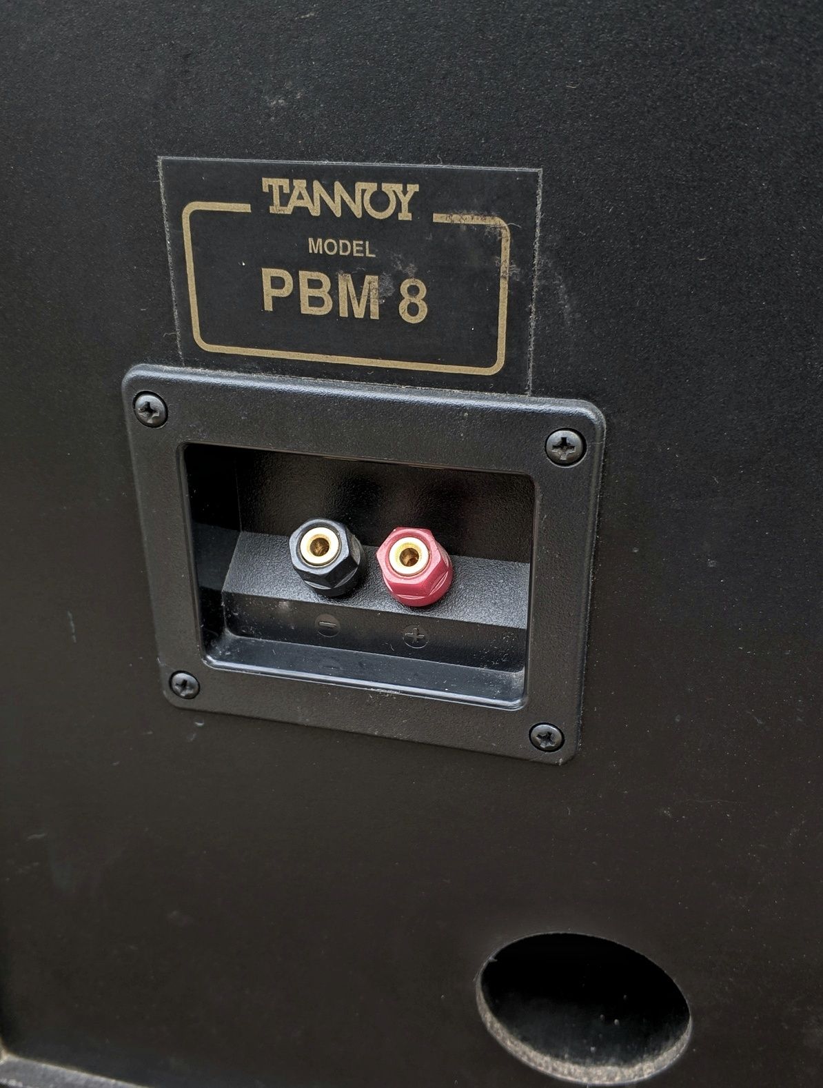 Tannoy PBM-8 - mocne muzykalne kolumny podstawkowe