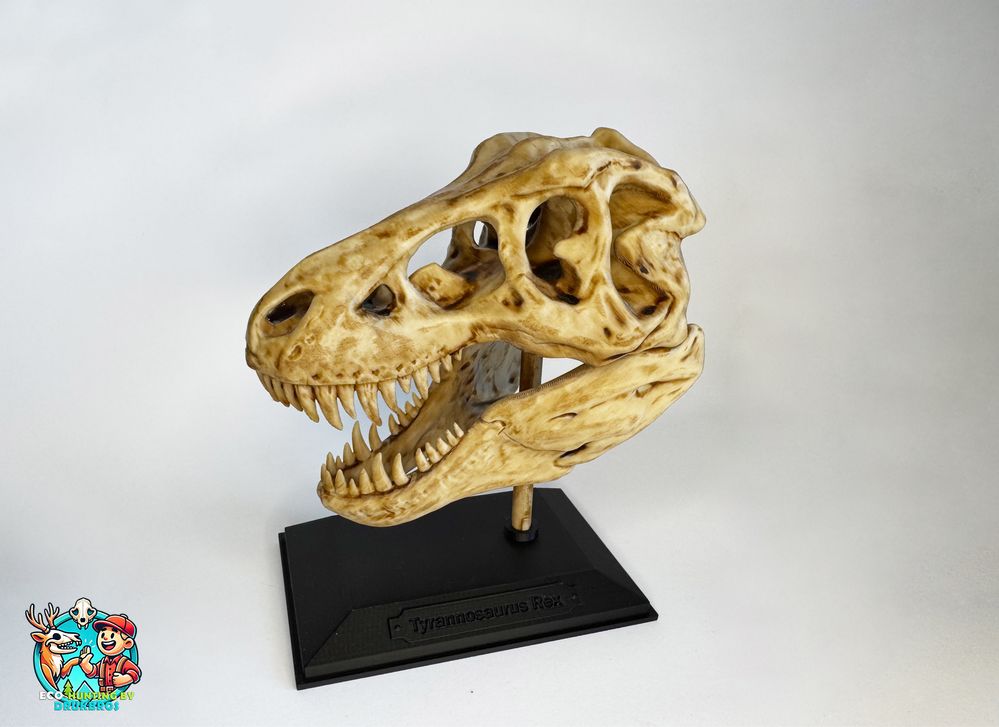 Czaszka T-Rex na stojaku/replika/ozdoba/trofeum