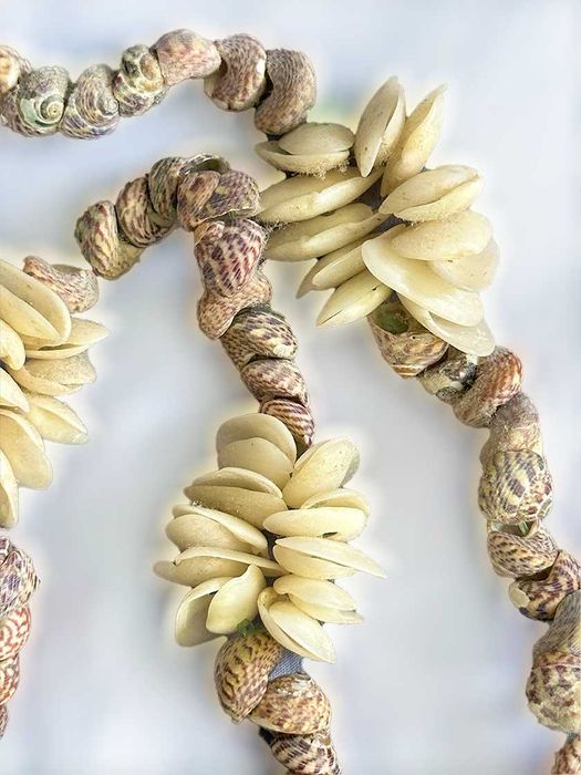 Colar de Mini-Búzios e Mini Conchas Naturais, NOVO/Exclusivo/Único