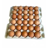 Яйца инкубационные,доминант 459,ломан,бройлер