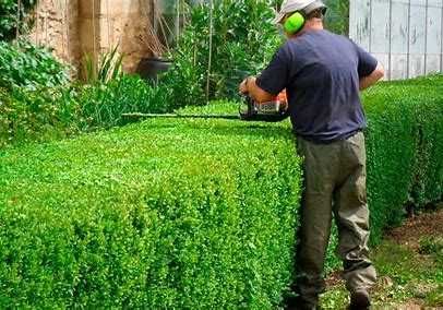 Zuca Resolve: Jardinagem Exclusiva para Condomínios!