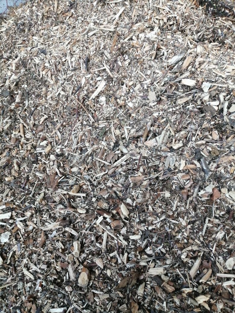 Zrąbka, zrębka, opał, podsypka pod krzewy, borowke, kora