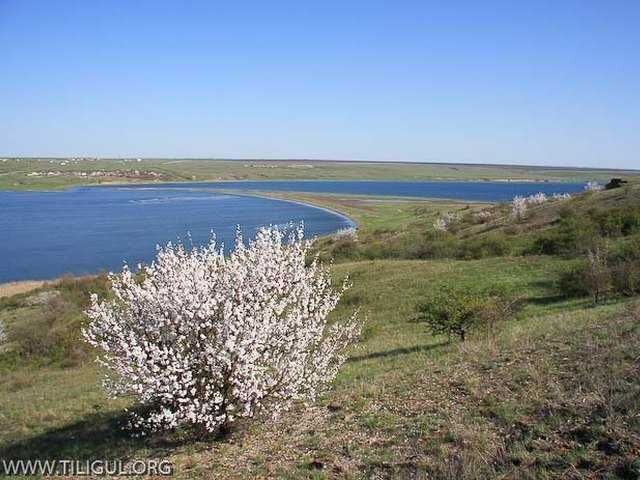 Продаж земельної ділянки на березі Тилігульського лиману