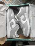 Nike Dunk Low Cinza