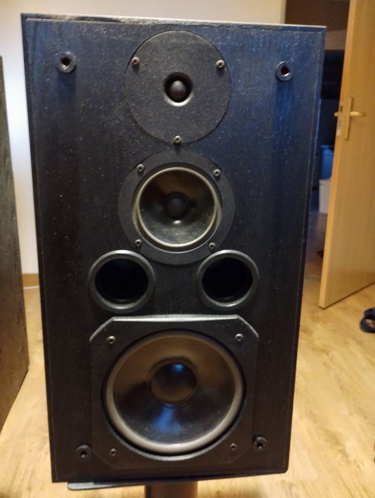 Kolumny monitory T+A pp120