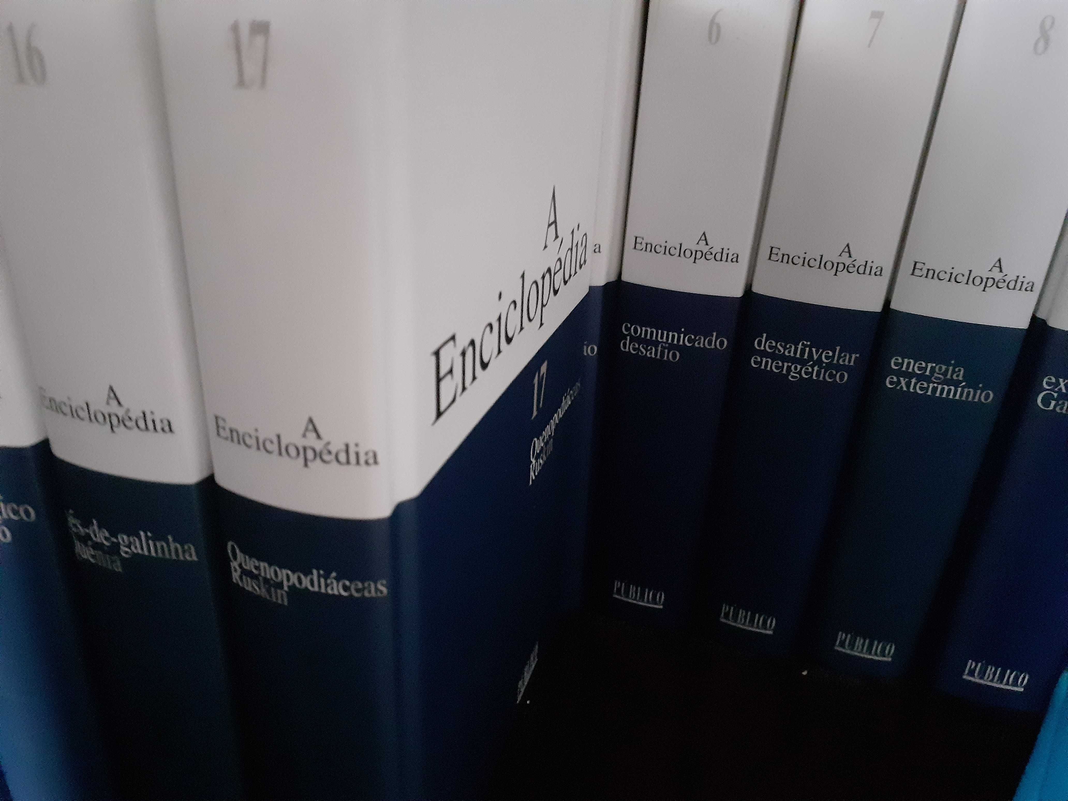 Enciclopédia Público (20 volumes)