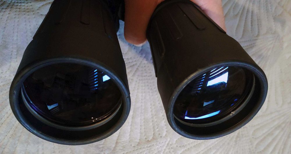 lornetka nocna polowanie HOYA,  ZEISS Dialyt 8x56