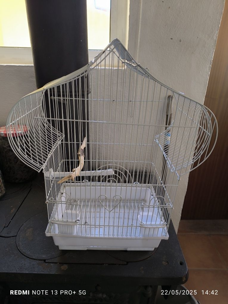 Gaiola para pássaros